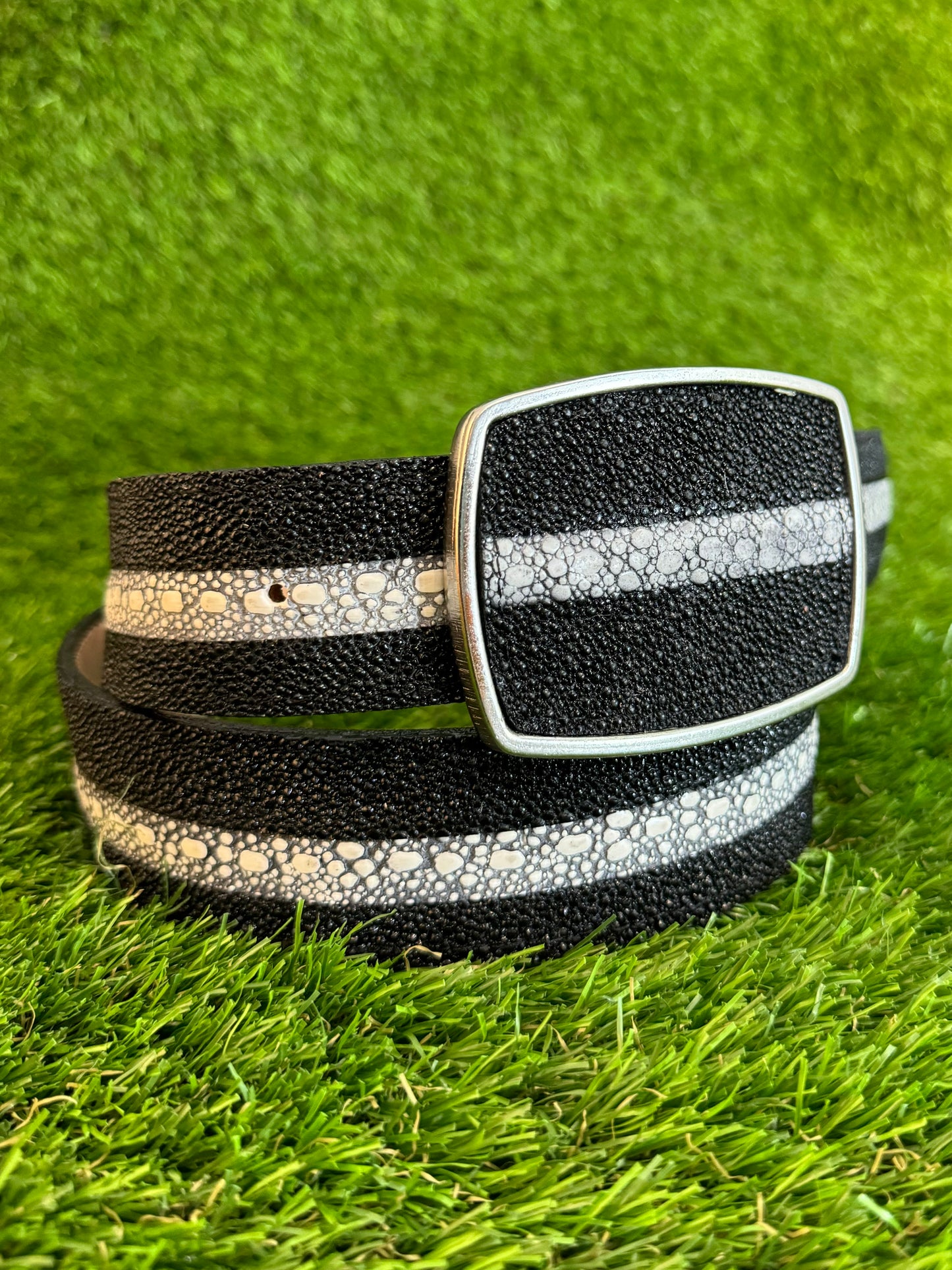 Cinto Manta Raya Imitacion | Manta Ray Imitacion Belt