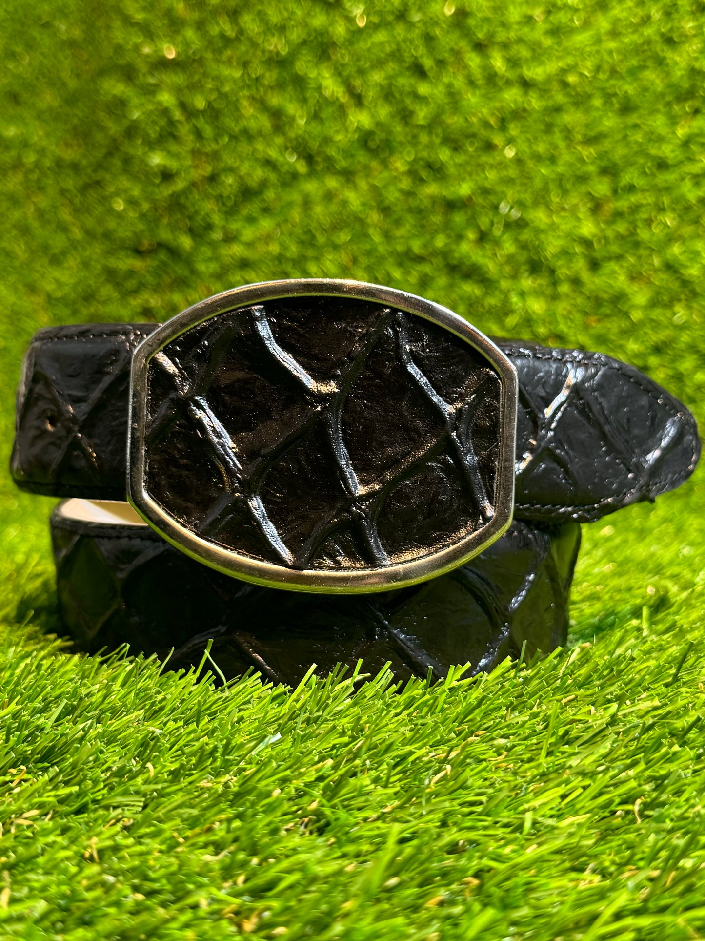 Cinto Pirarucu Imt. | Pirarucu Fish Imt Belt. +3 Colors